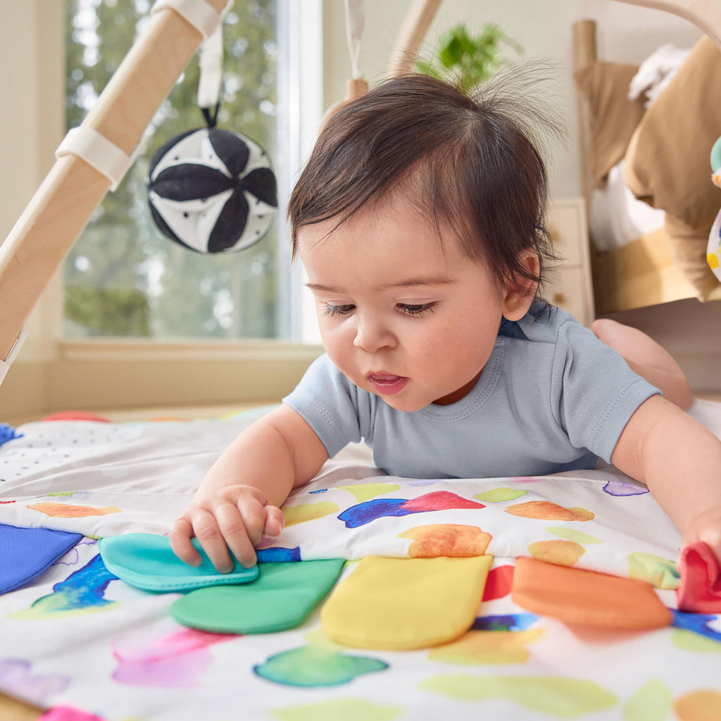 The Play Gym, 5-Stage Baby Developmental for Full Year of Play